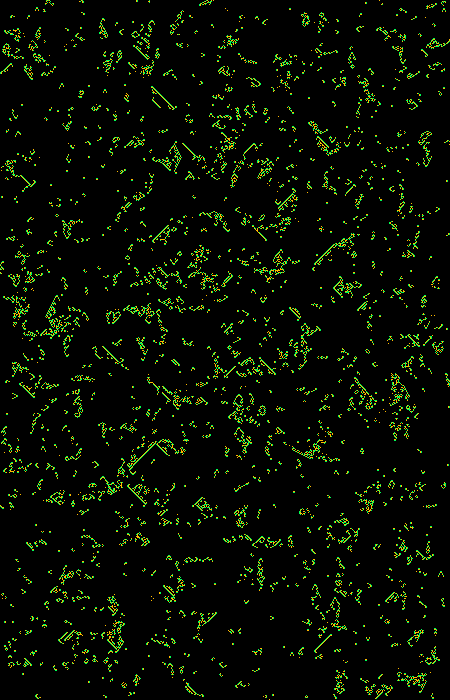 Brian's Brain on a tall portrait grid